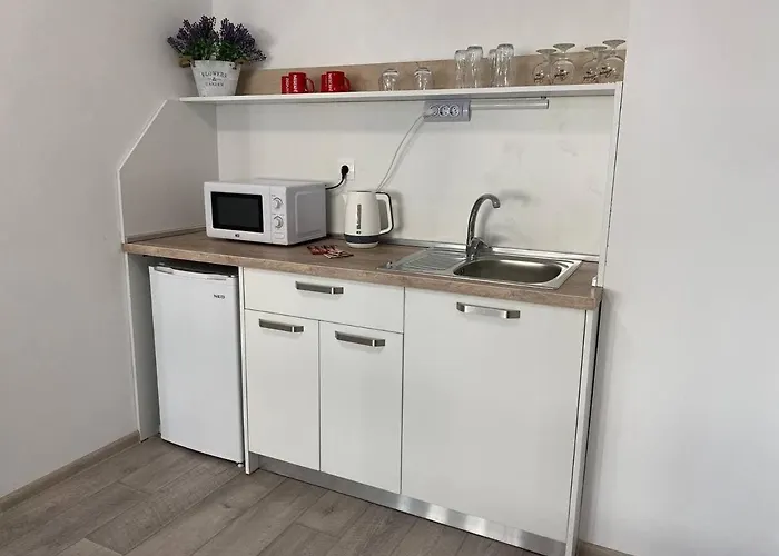 за гости екатерина Guest Ekaterina